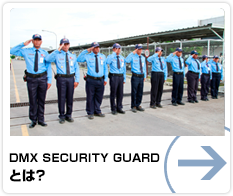 DMX GUARD とは？